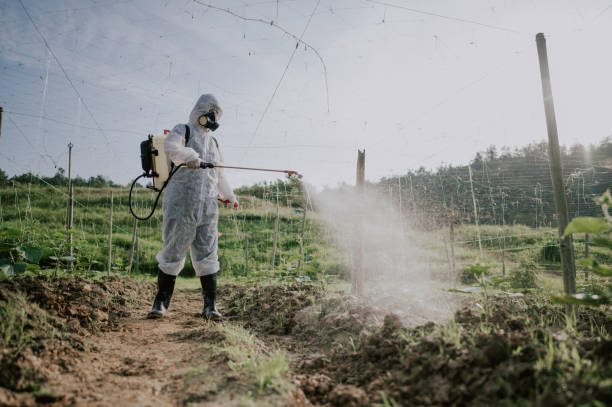Best Pest Control Cost  in South Duxbury, MA