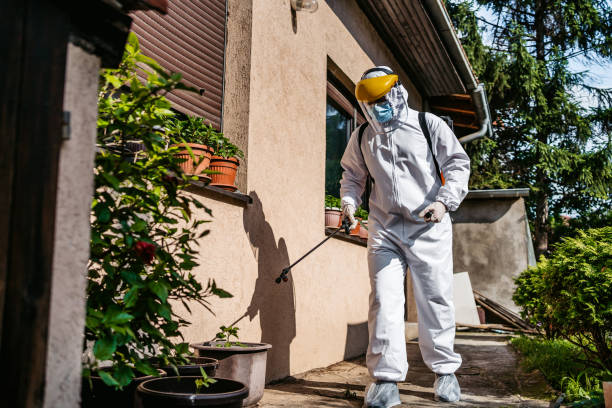Best Mosquito Control Services  in South Duxbury, MA