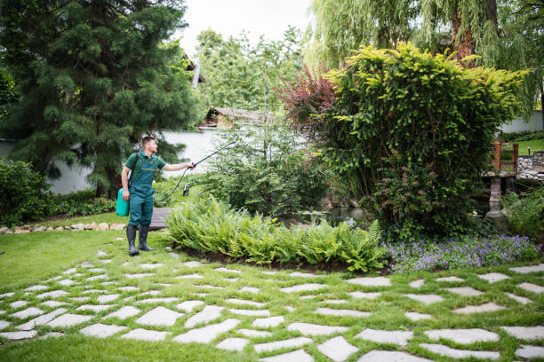 Best Emergency Pest Control  in South Duxbury, MA