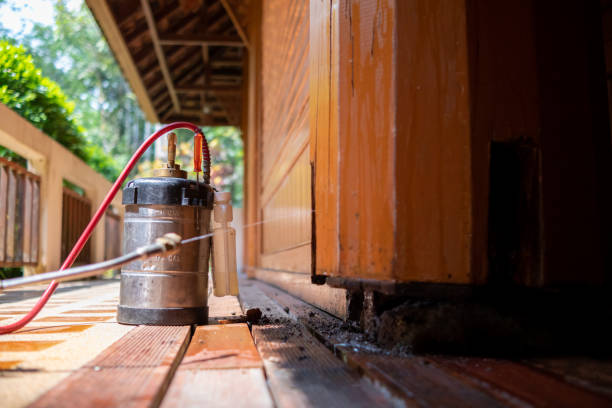 Best Cockroach Control Services  in South Duxbury, MA