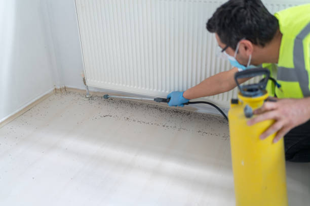 Best Affordable Pest Control Services  in South Duxbury, MA